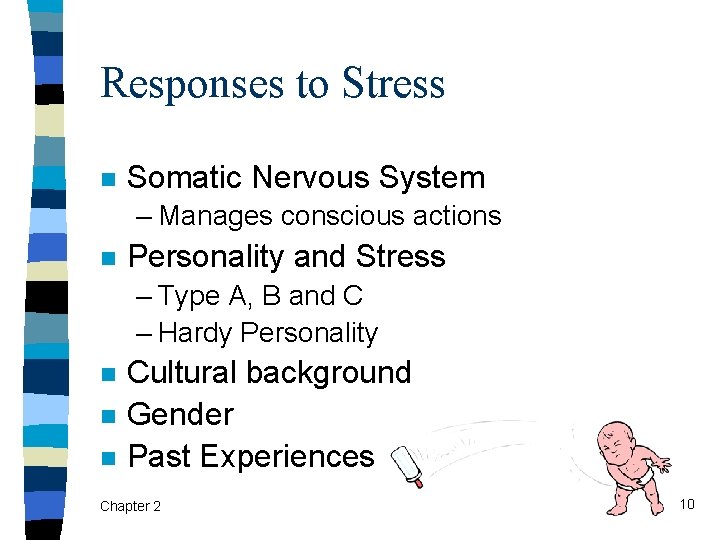 Responses to Stress n Somatic Nervous System – Manages conscious actions n Personality and