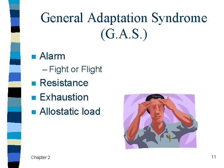 General Adaptation Syndrome (G. A. S. ) n Alarm – Fight or Flight n