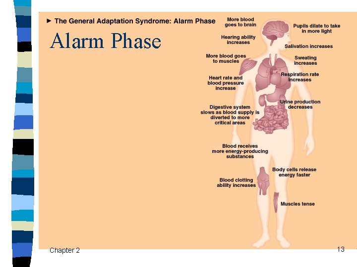 Alarm Phase Chapter 2 13 