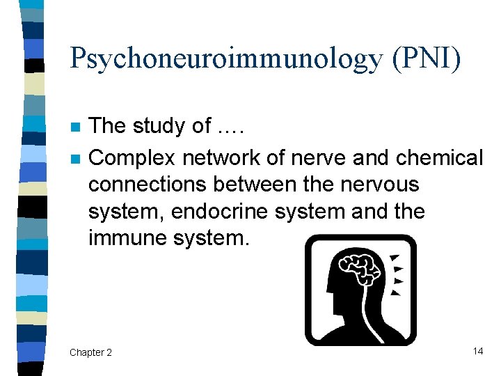 Psychoneuroimmunology (PNI) n n The study of …. Complex network of nerve and chemical