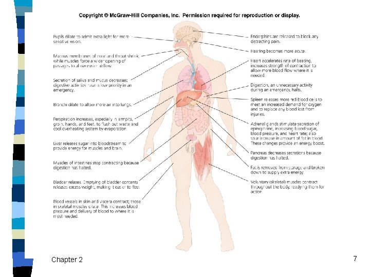 Chapter 2 7 