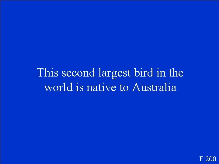 This second largest bird in the world is native to Australia F 200 