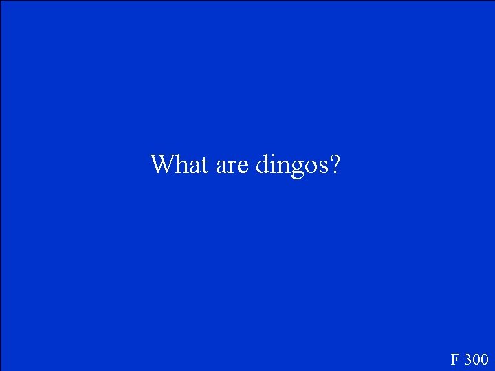 What are dingos? F 300 