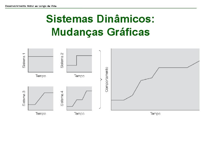 Desenvolvimento Motor ao Longo da Vida Sistemas Dinâmicos: Mudanças Gráficas 