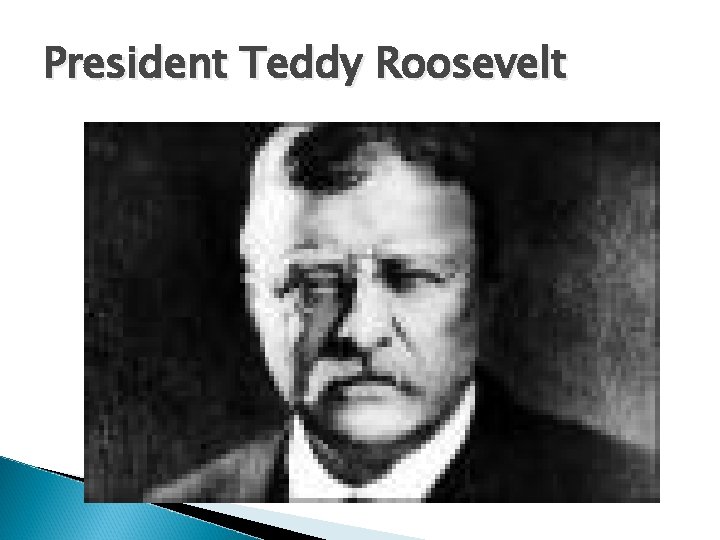 President Teddy Roosevelt 