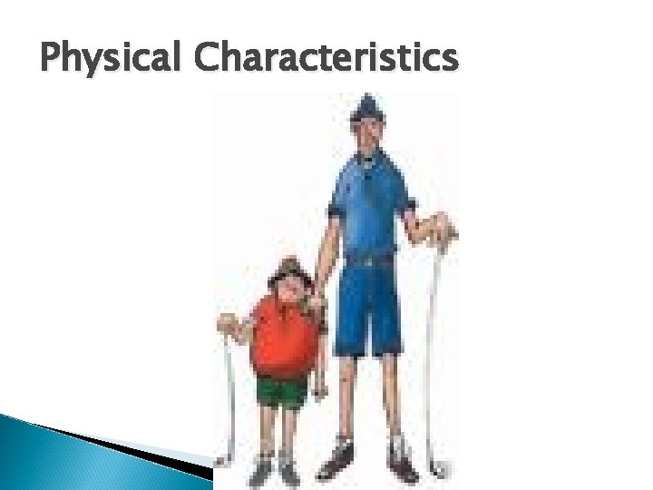 Physical Characteristics 