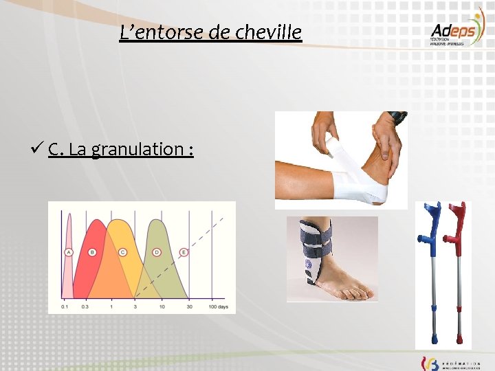 L’entorse de cheville ü C. La granulation : 