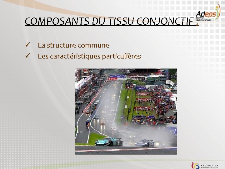 COMPOSANTS DU TISSU CONJONCTIF : ü La structure commune ü Les caractéristiques particulières 