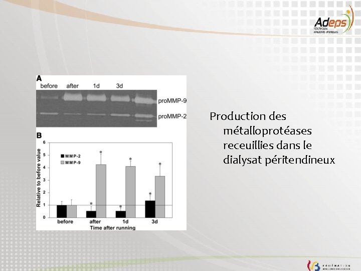 Production des métalloprotéases receuillies dans le dialysat péritendineux 