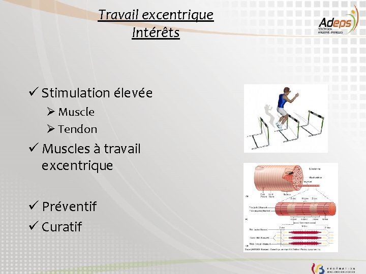 Travail excentrique Intérêts ü Stimulation élevée Muscle Tendon ü Muscles à travail excentrique ü