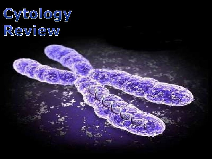 Cytology Review 