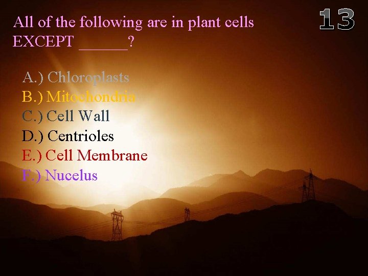 All of the following are in plant cells EXCEPT ______? 13 A. ) Chloroplasts