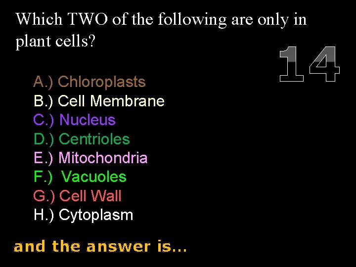 Which TWO of the following are only in plant cells? A. ) Chloroplasts B.