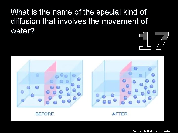 What is the name of the special kind of diffusion that involves the movement