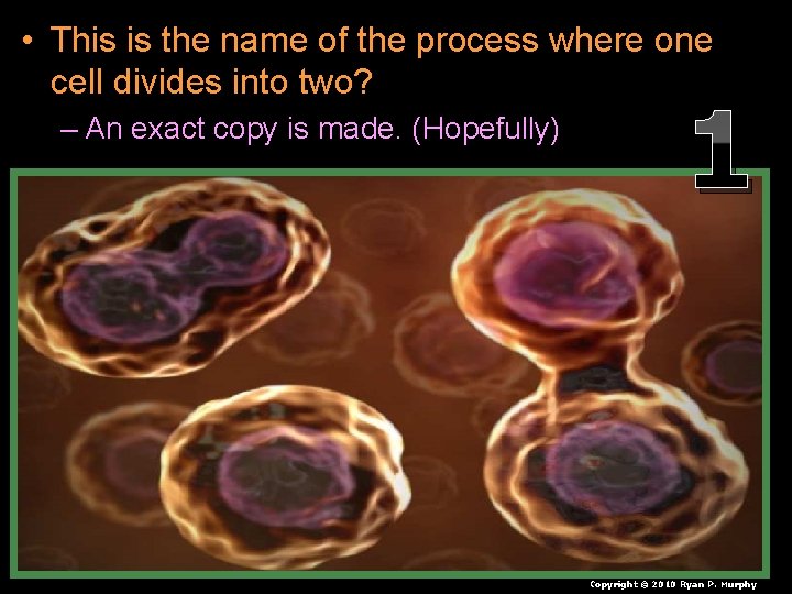  • This is the name of the process where one cell divides into