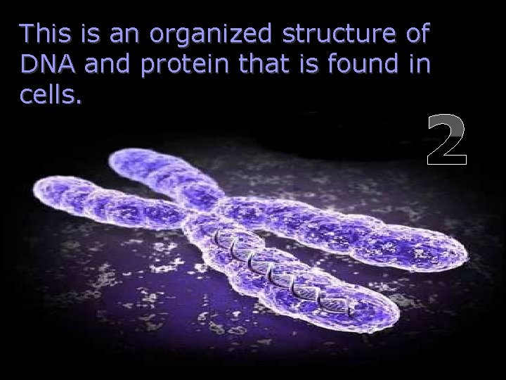 This is an organized structure of DNA and protein that is found in cells.