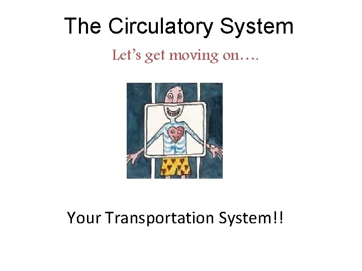 The Circulatory System Let’s get moving on…. Your Transportation System!! 