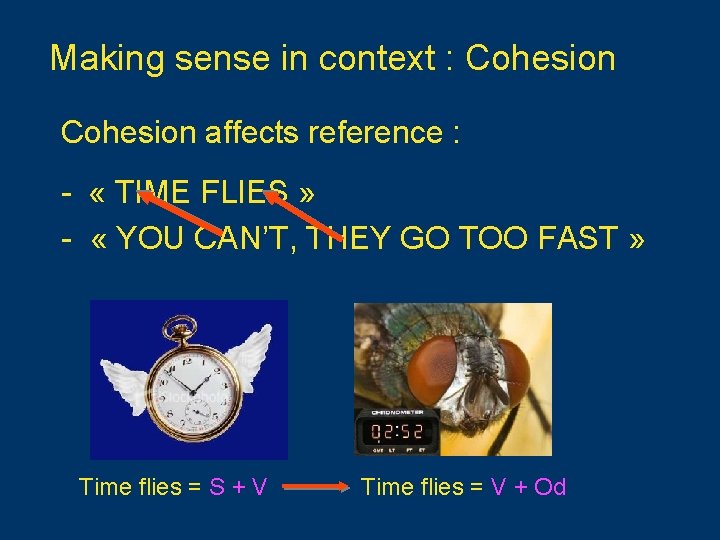 Making sense in context : Cohesion affects reference : - « TIME FLIES » Making sense in context : Cohesion affects reference : - « TIME FLIES »