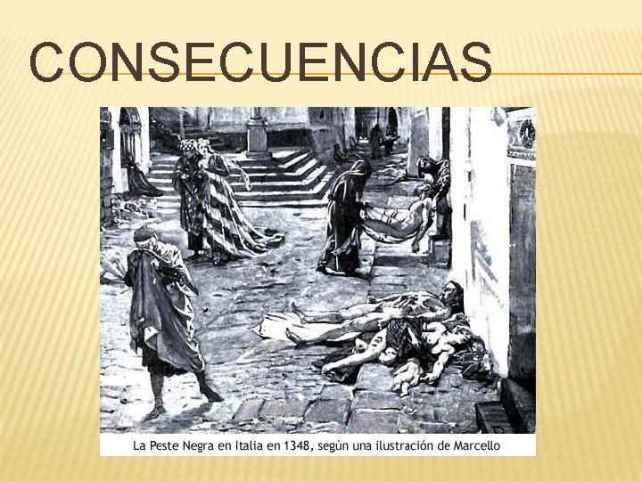 CONSECUENCIAS 