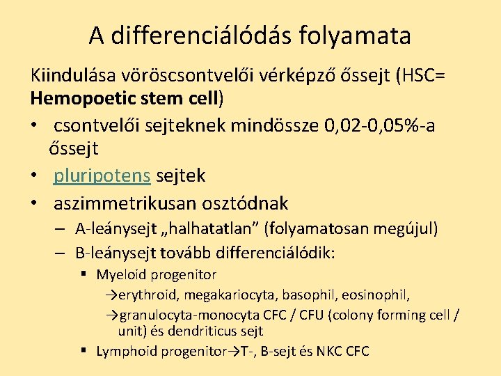 A differenciálódás folyamata Kiindulása vöröscsontvelői vérképző őssejt (HSC= Hemopoetic stem cell) • csontvelői sejteknek