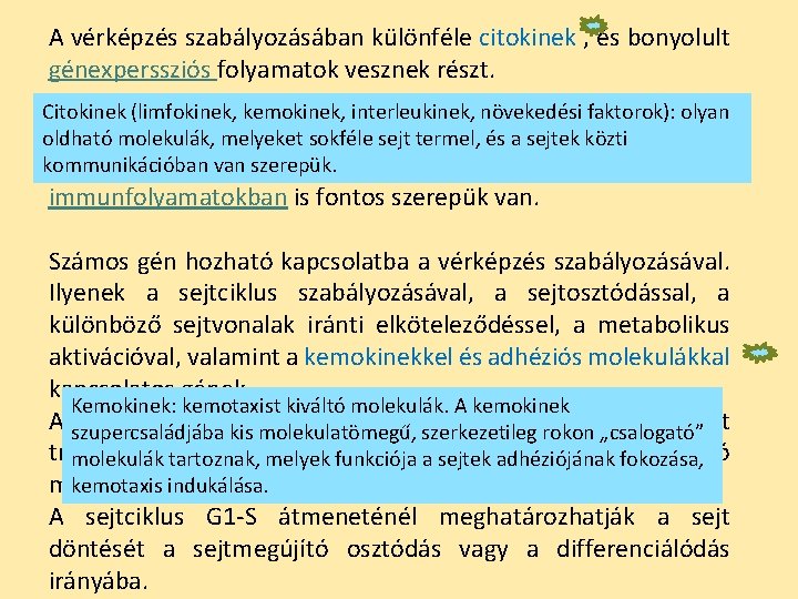 A vérképzés szabályozásában különféle citokinek , és bonyolult génexperssziós folyamatok vesznek részt. Citokinek (limfokinek,