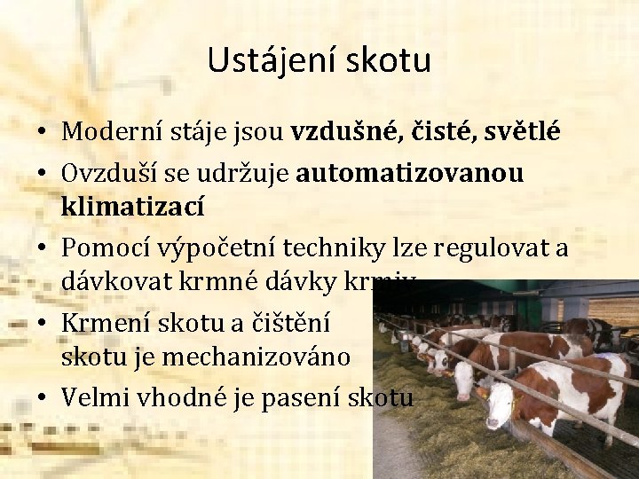 Ustájení skotu • Moderní stáje jsou vzdušné, čisté, světlé • Ovzduší se udržuje automatizovanou Ustájení skotu • Moderní stáje jsou vzdušné, čisté, světlé • Ovzduší se udržuje automatizovanou