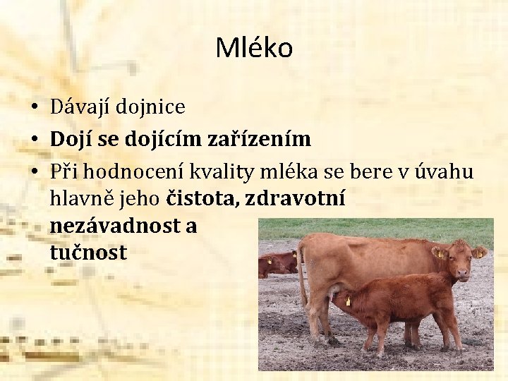 Mléko • Dávají dojnice • Dojí se dojícím zařízením • Při hodnocení kvality mléka Mléko • Dávají dojnice • Dojí se dojícím zařízením • Při hodnocení kvality mléka