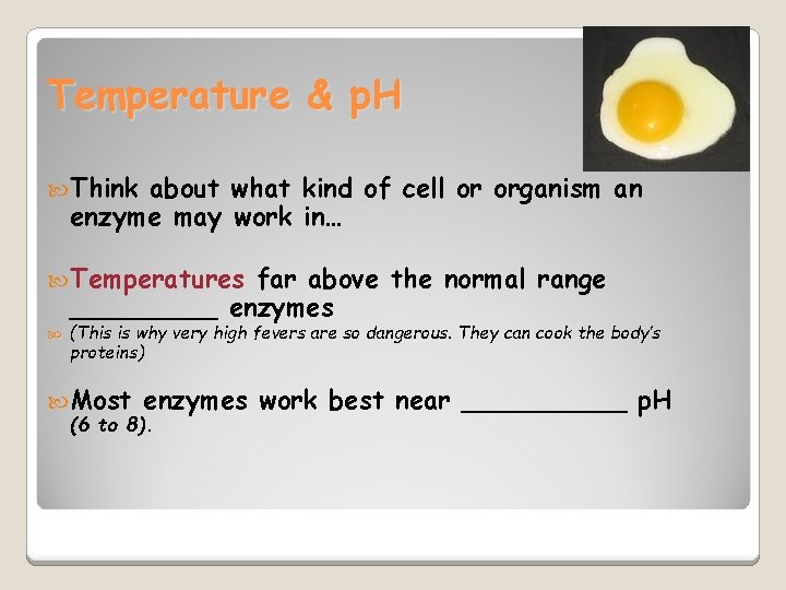 Temperature & p. H Think about what kind of cell or organism an enzyme