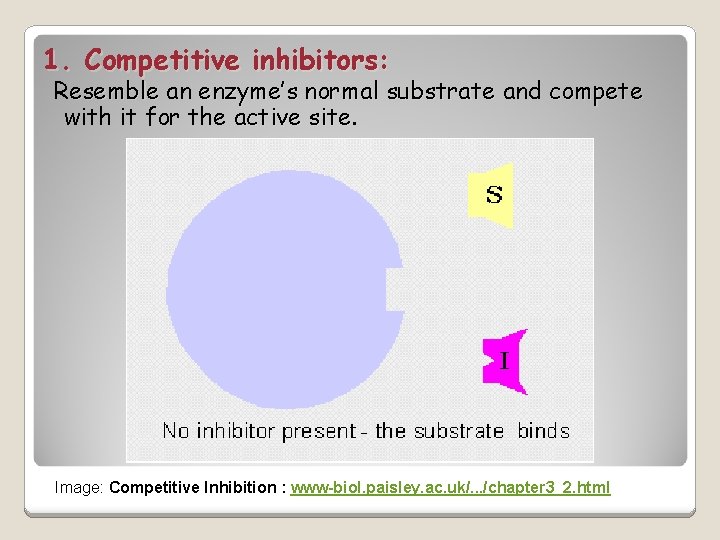 1. Competitive inhibitors: Resemble an enzyme’s normal substrate and compete with it for the