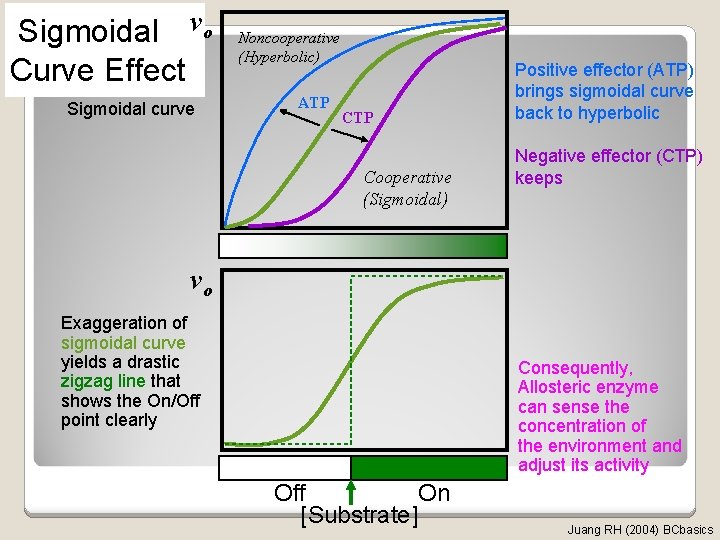 Sigmoidal vo Curve Effect Sigmoidal curve Noncooperative (Hyperbolic) ATP Cooperative (Sigmoidal) Positive effector (ATP)