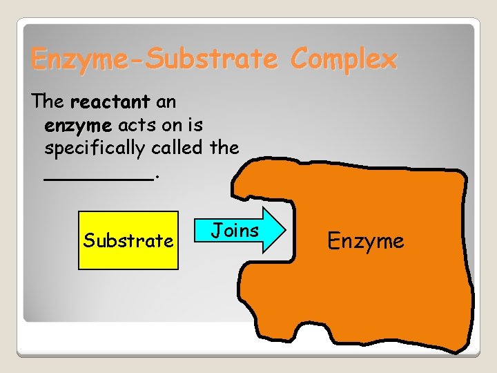 Enzyme-Substrate Complex The reactant an enzyme acts on is specifically called the _____. Substrate