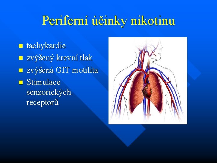 Periferní účinky nikotinu n n tachykardie zvýšený krevní tlak zvýšená GIT motilita Stimulace senzorických.