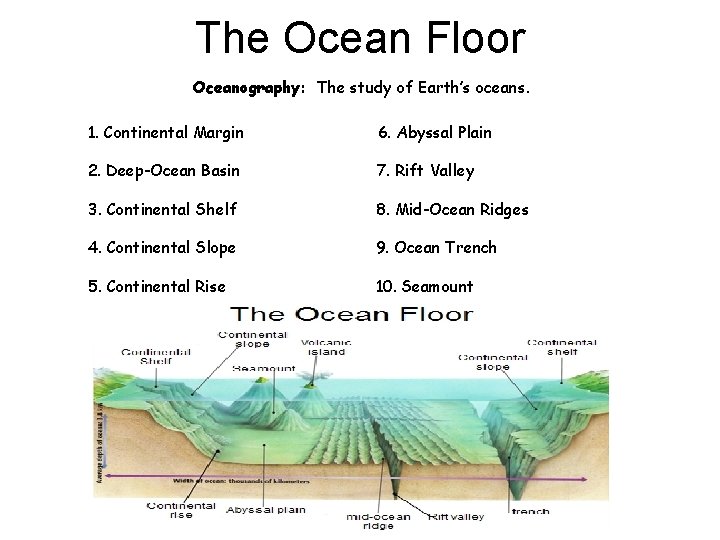 The Ocean Floor Oceanography: The study of Earth’s oceans. 1. Continental Margin 6. Abyssal