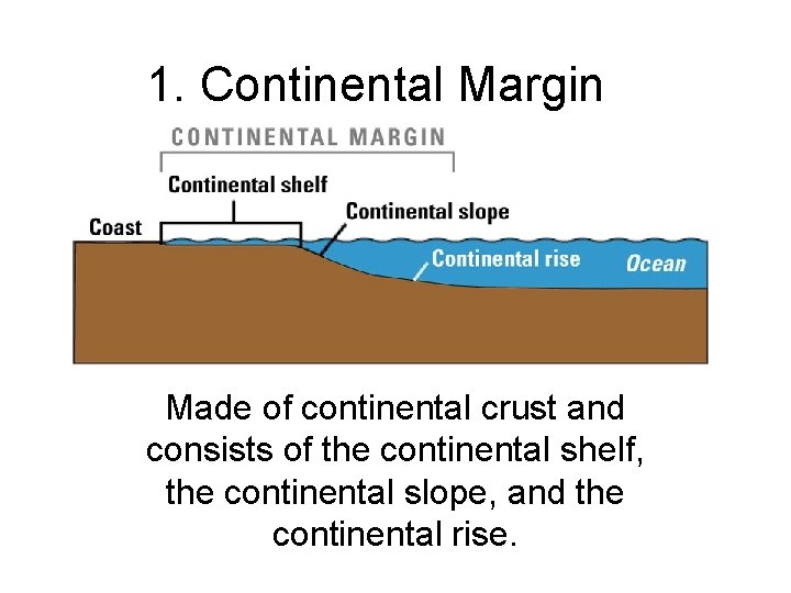 1. Continental Margin Made of continental crust and consists of the continental shelf, the