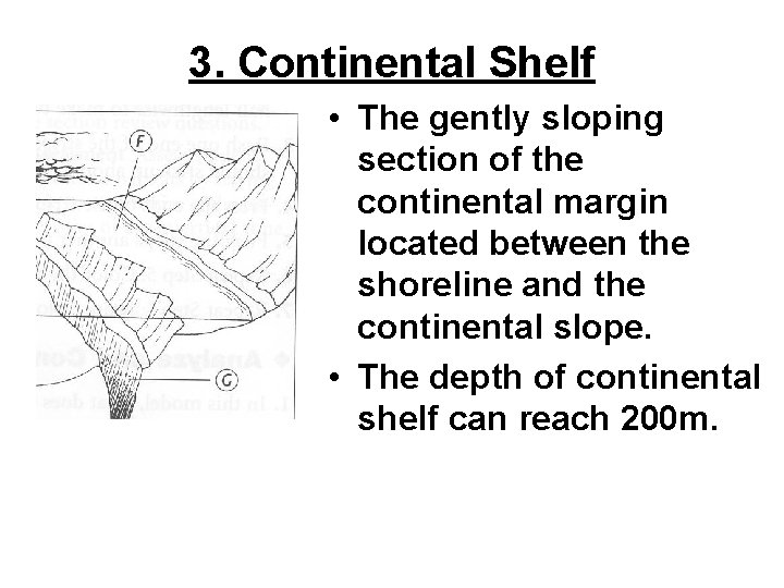 3. Continental Shelf • The gently sloping section of the continental margin located between