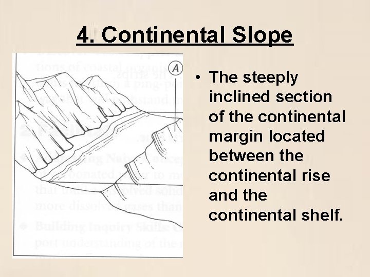 4. Continental Slope • The steeply inclined section of the continental margin located between