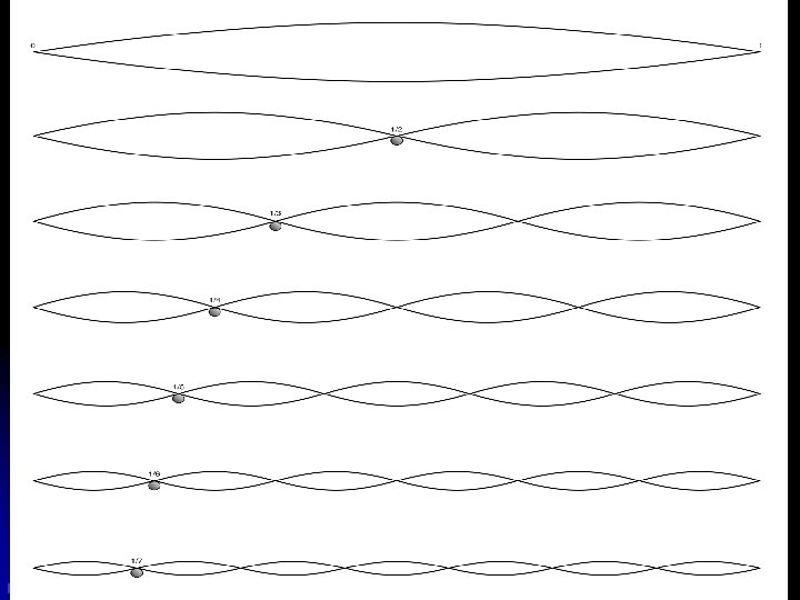 FII – QA MRCP DF – UM 