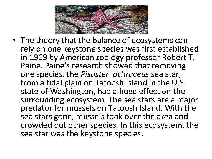  • The theory that the balance of ecosystems can rely on one keystone