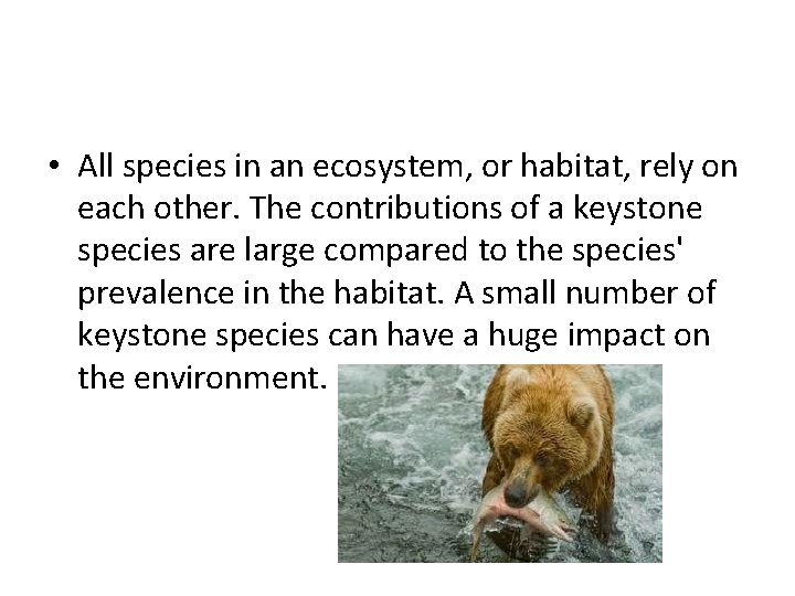  • All species in an ecosystem, or habitat, rely on each other. The