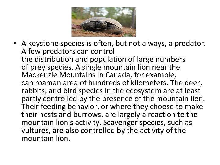  • A keystone species is often, but not always, a predator. A few