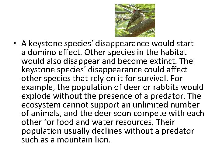  • A keystone species' disappearance would start a domino effect. Other species in
