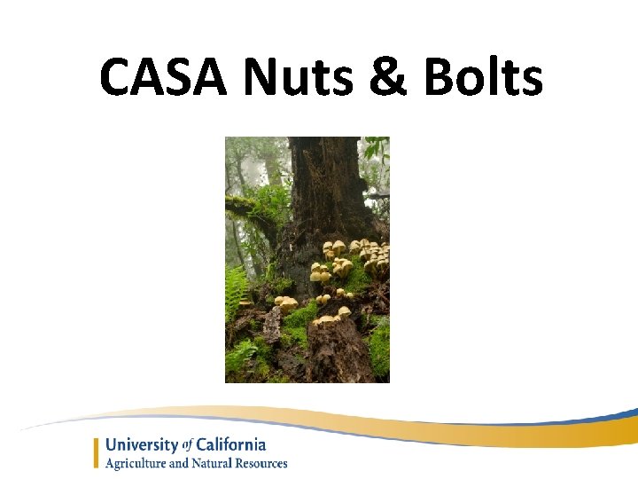 CASA Nuts & Bolts 