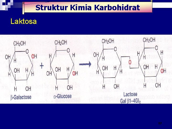 Struktur Kimia Karbohidrat Laktosa 17 