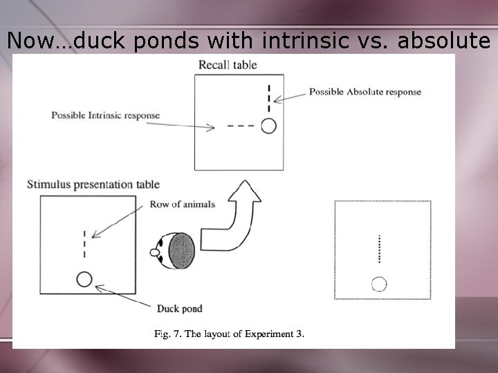 Now…duck ponds with intrinsic vs. absolute 