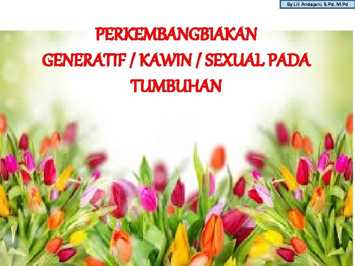 By Lili Andajani, S. Pd, M. Pd PERKEMBANGBIAKAN GENERATIF / KAWIN / SEXUAL PADA