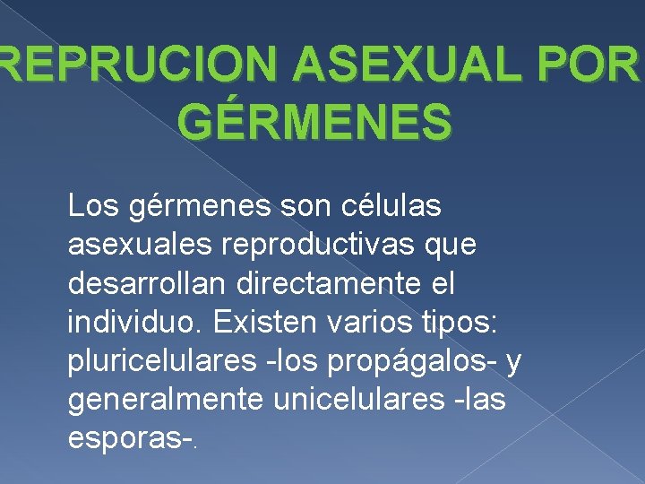 REPRUCION ASEXUAL POR GÉRMENES Los gérmenes son células asexuales reproductivas que desarrollan directamente el REPRUCION ASEXUAL POR GÉRMENES Los gérmenes son células asexuales reproductivas que desarrollan directamente el
