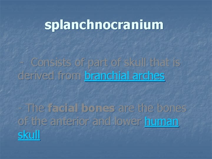 splanchnocranium - Consists of part of skull that is derived from branchial arches -