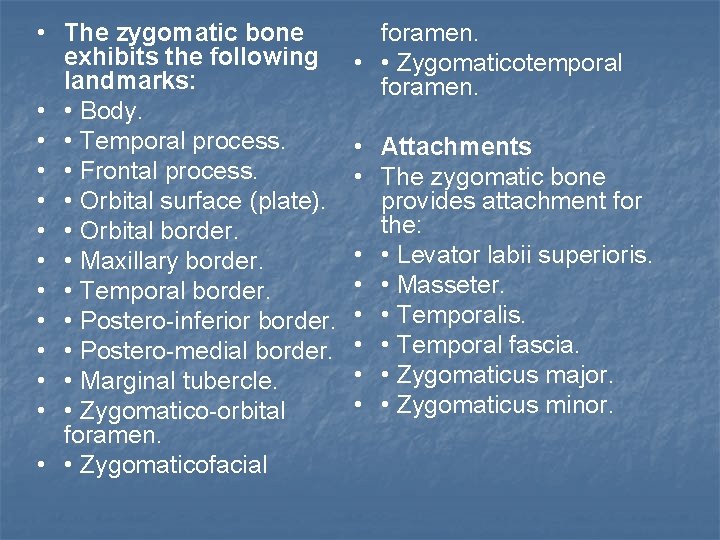  • The zygomatic bone exhibits the following landmarks: • • Body. • •