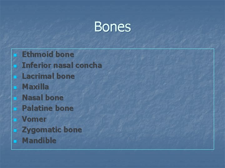 Bones n n n n n Ethmoid bone Inferior nasal concha Lacrimal bone Maxilla