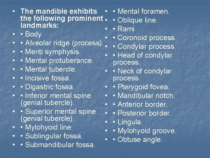  • The mandible exhibits • the following prominent • landmarks: • • •